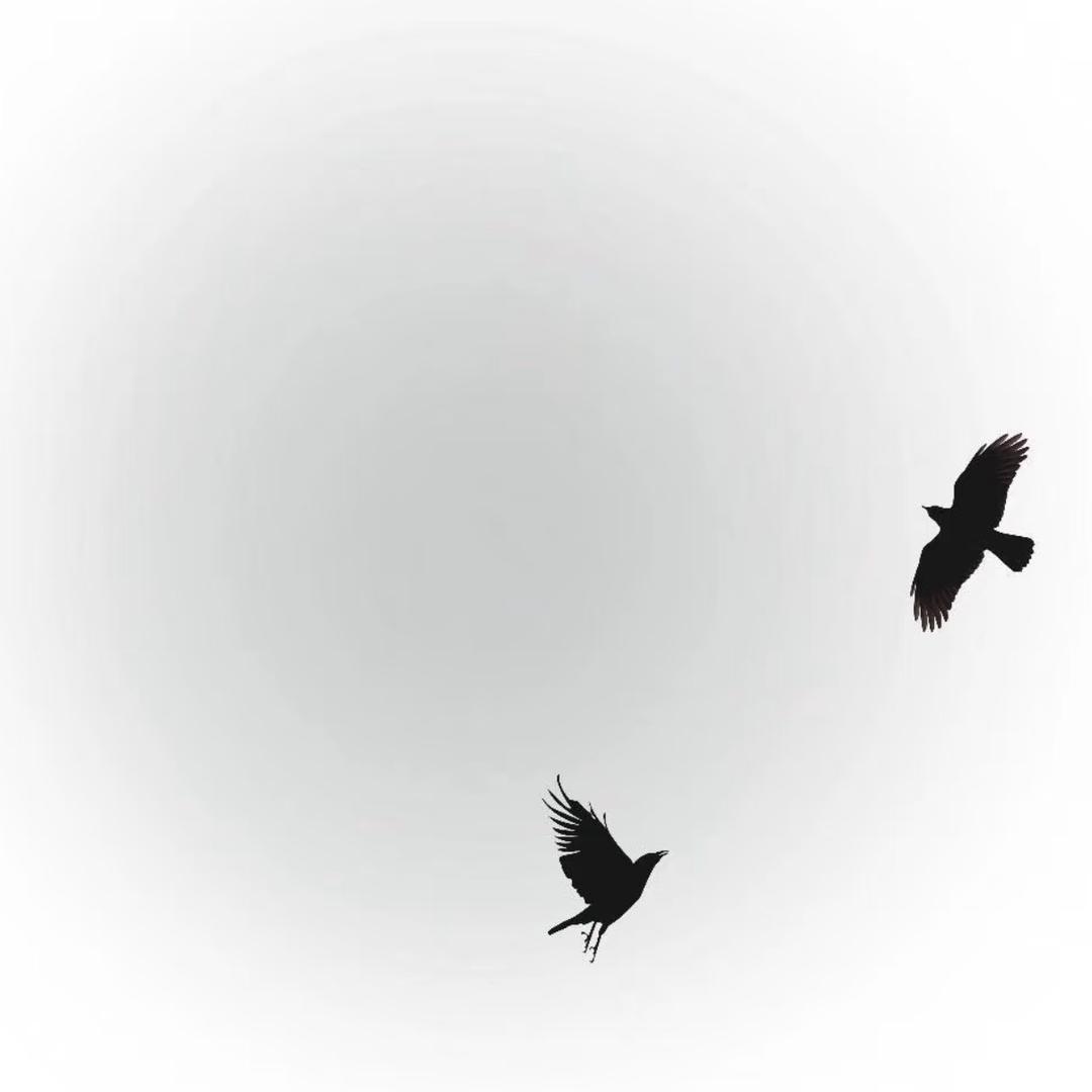 250.