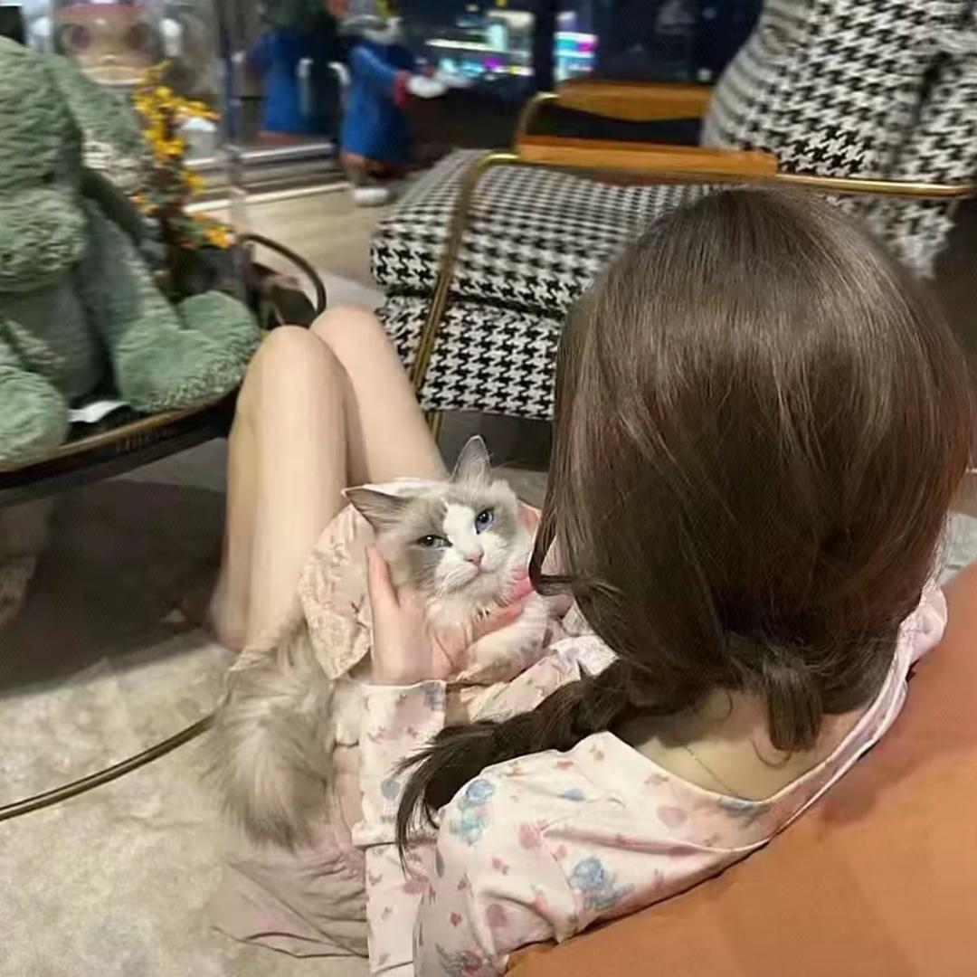 欣咩咩