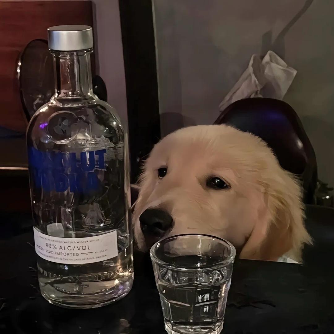 许😏什么诺🍋