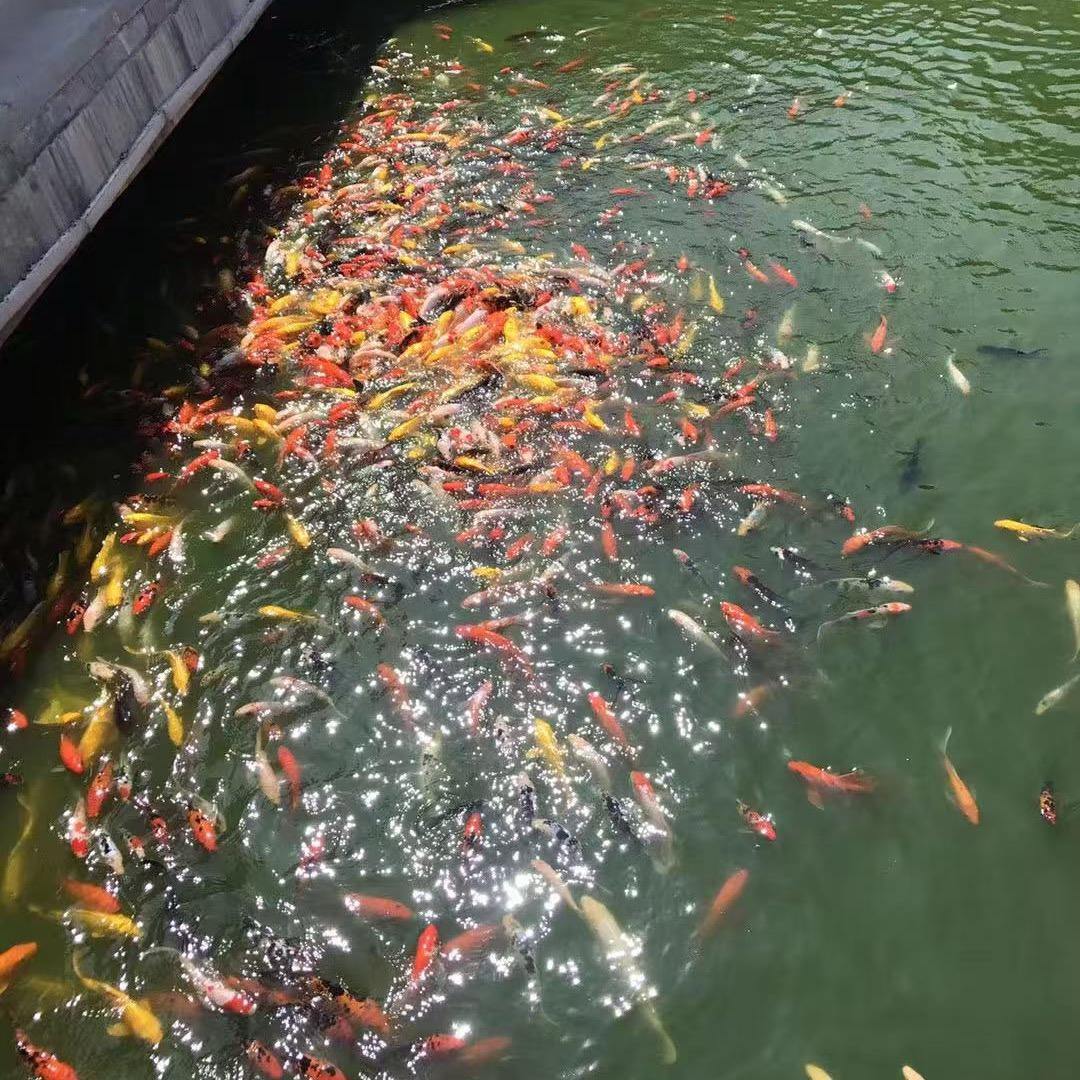 那咋了