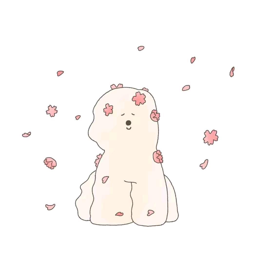 罗卜✨