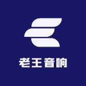 老王电子