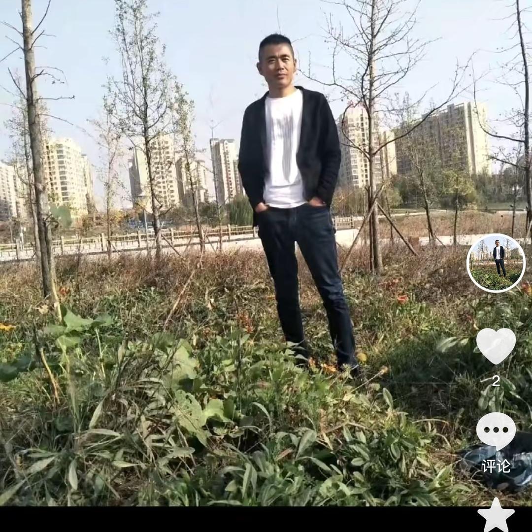 会飞的鱼