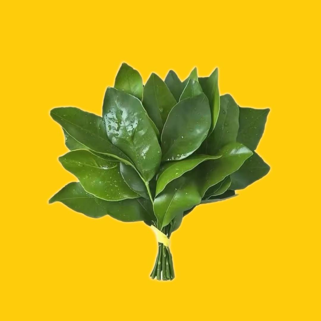 未禾生活