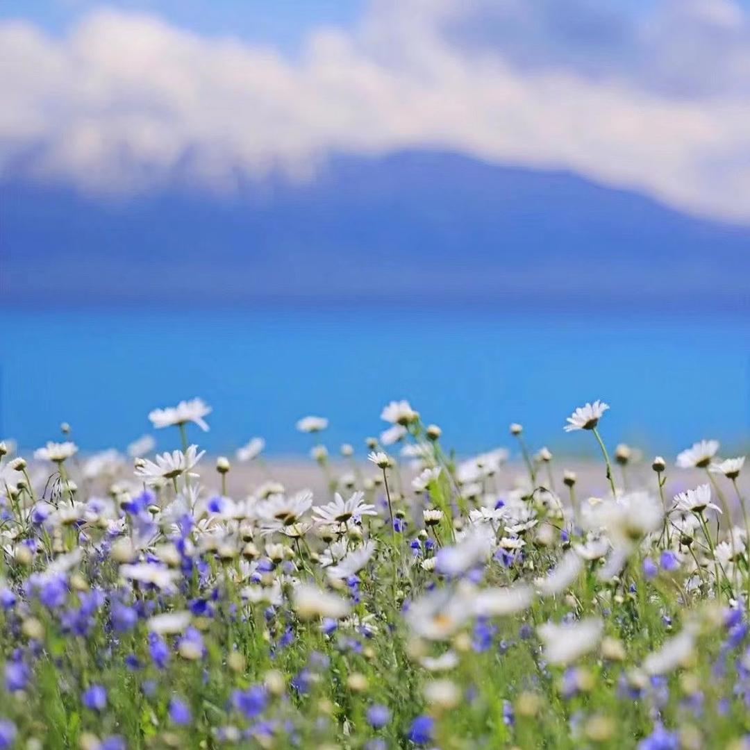 柳阿公卤味螺蛳粉（武汉总店）