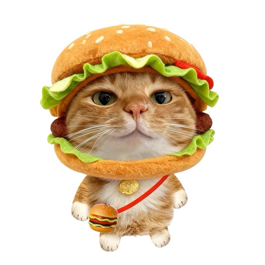 超级无敌宇宙超级托马斯回旋银河系暴龙战士