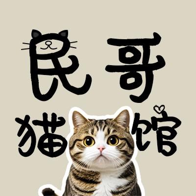 猫小哦-民哥