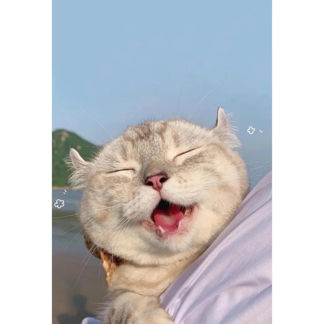 亮（三角洲撞车）