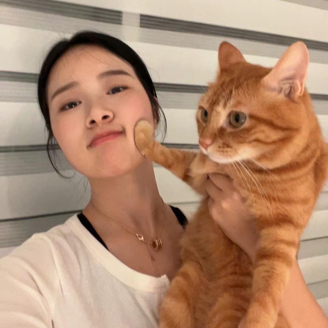 阿炸阿🍊