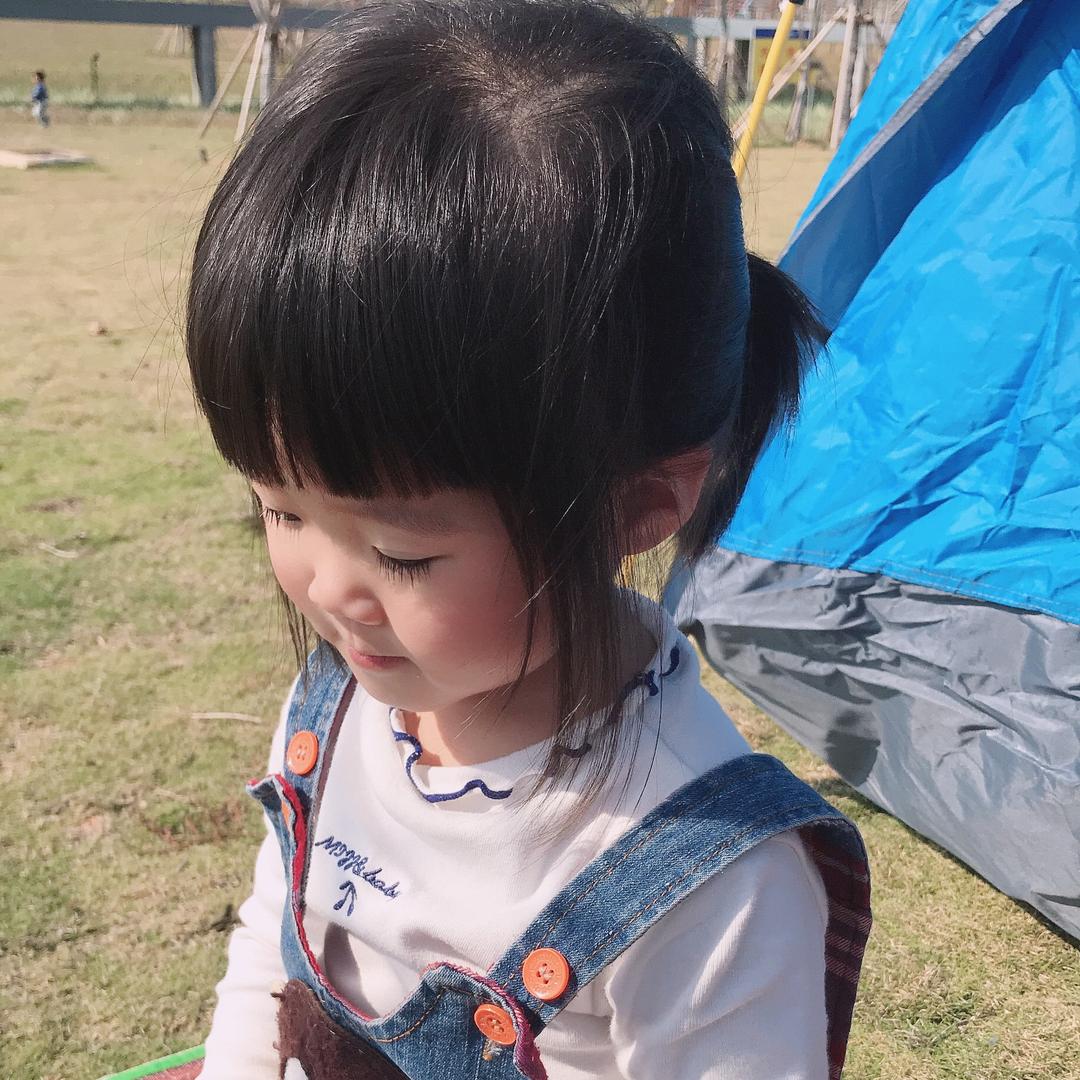 🐤 竹林里的燕子