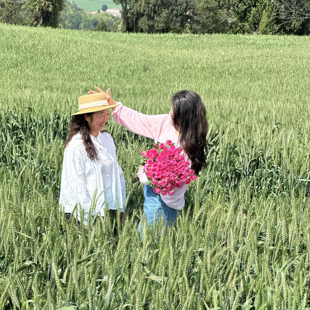 耐女子和她的婆婆妈