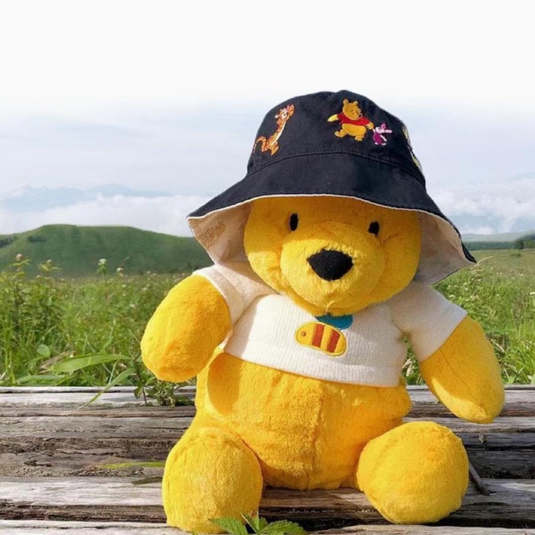 吃榴莲的维尼熊