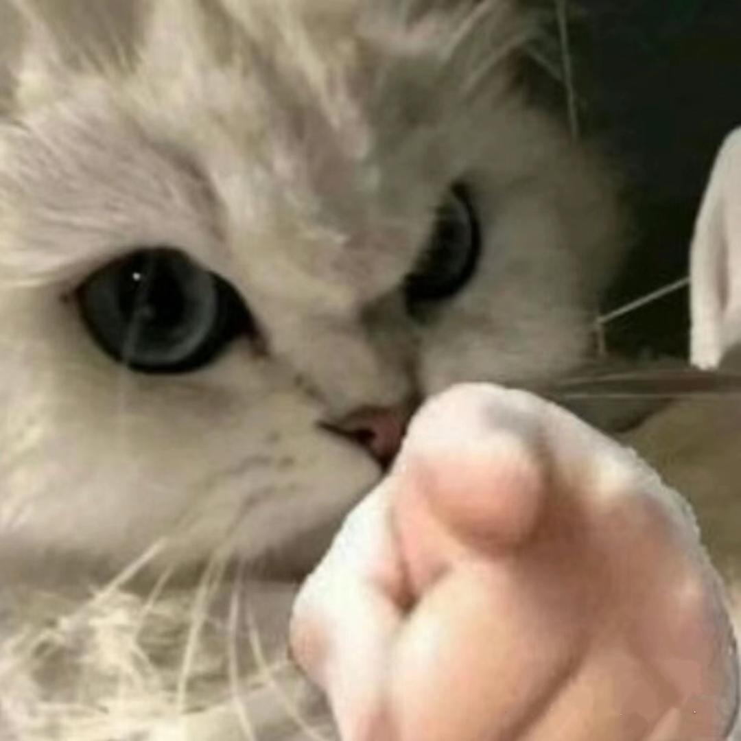 龙三三