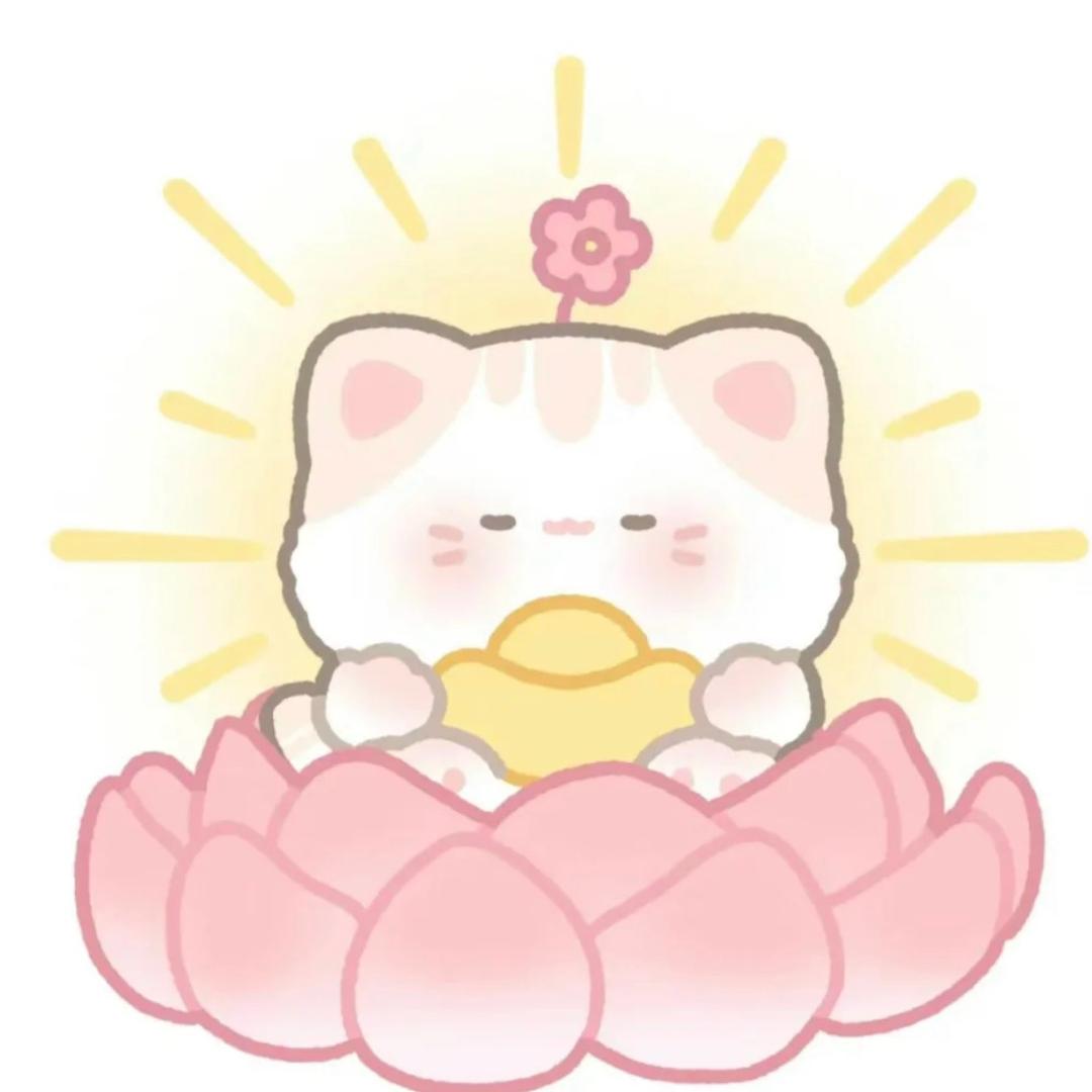 星星不打烊.