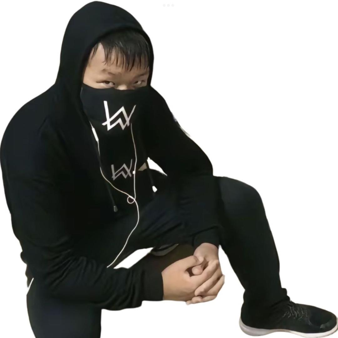 嘉豪