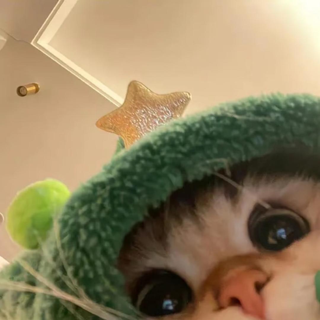 美洋🪽
