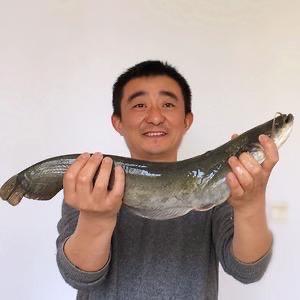 桥筏江湖
