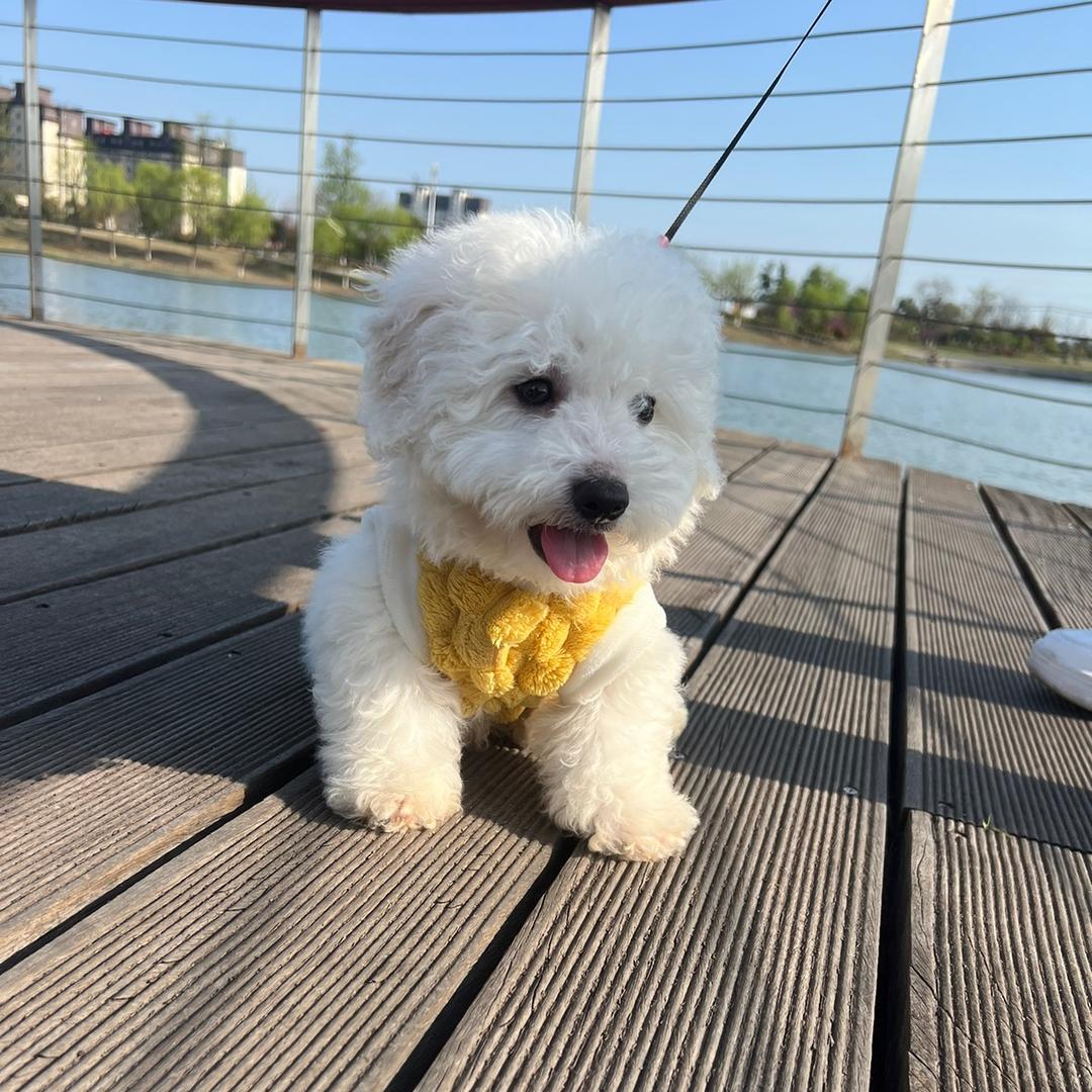 馨妍💕💖（在下奔奔麻麻）