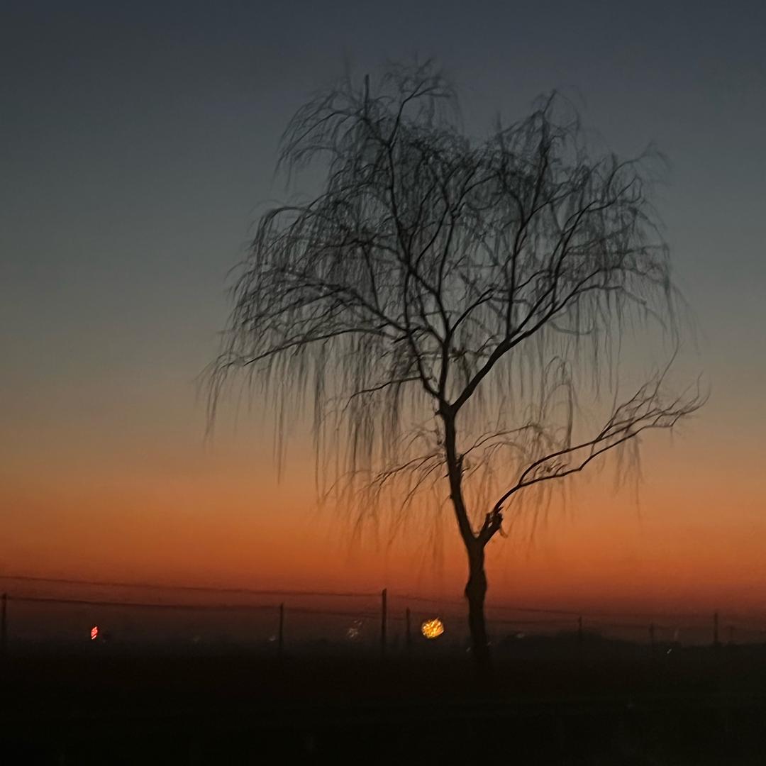 朝花夕拾
