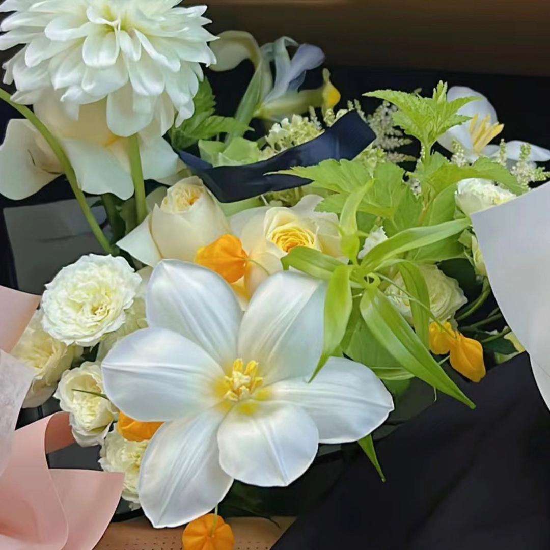 ☘️☘️☘️☘️