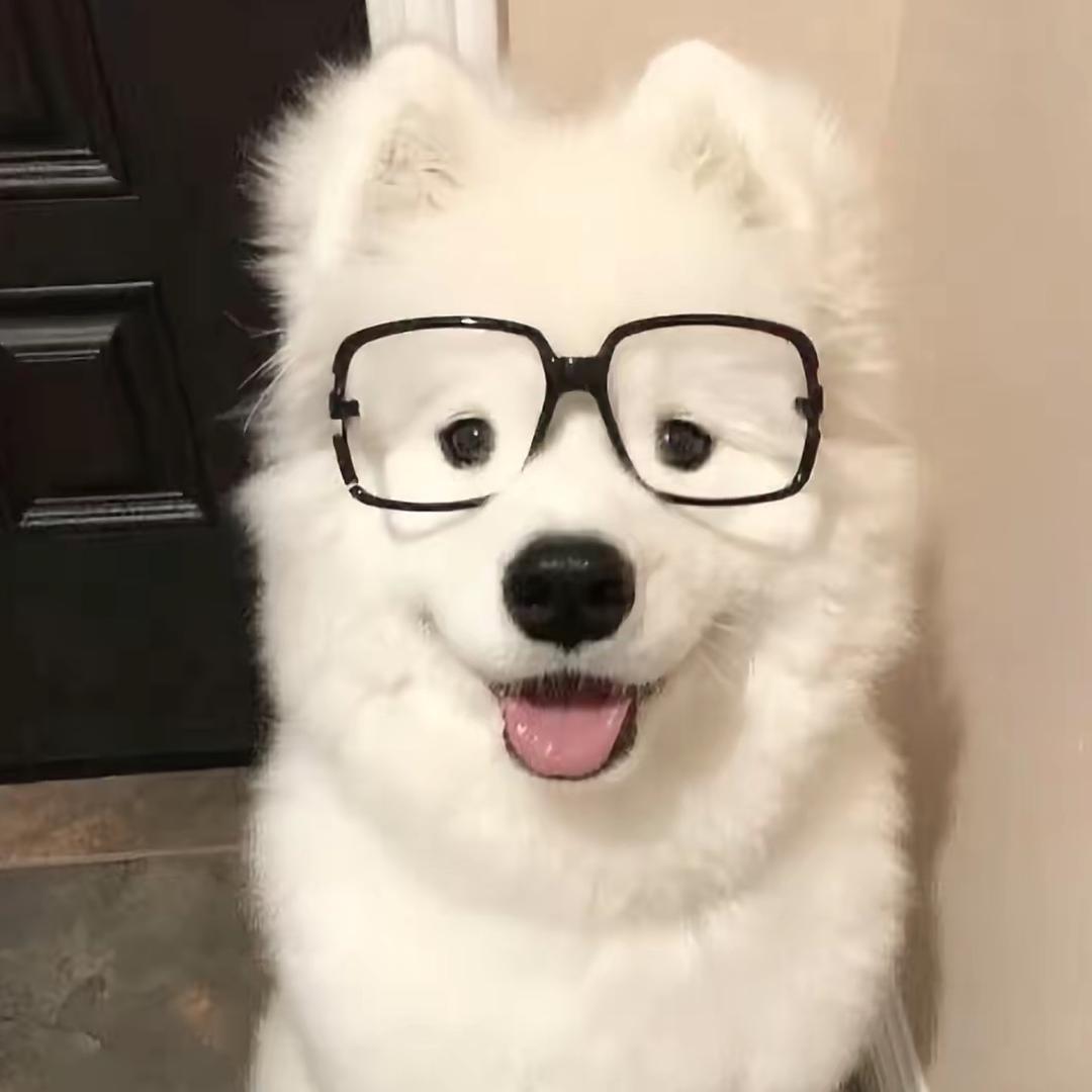 不知名呆毛