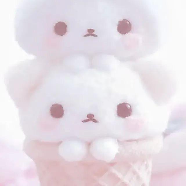 小云宝
