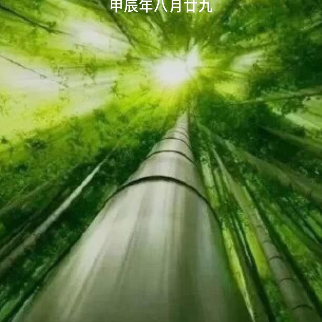 沉默味道