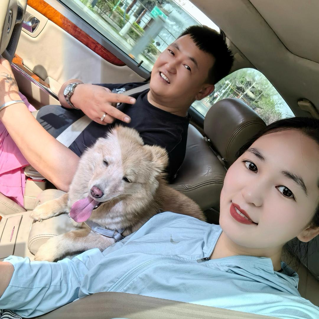 摇摇车西安市及周边地区免费投放☎️