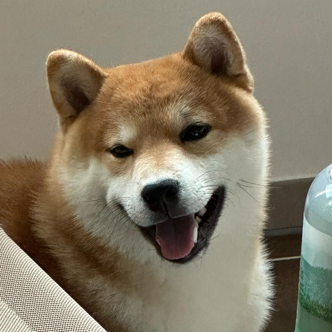 我是梵四林