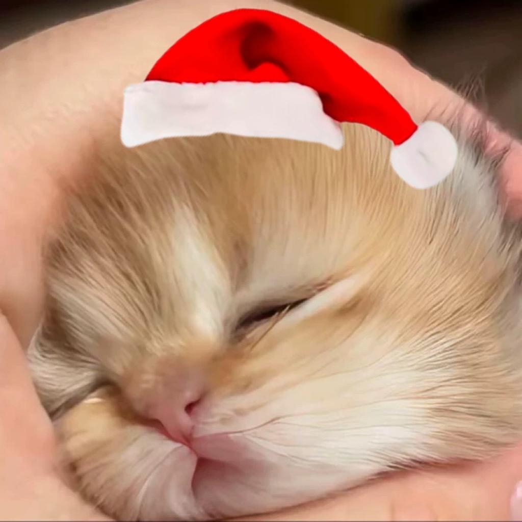 我要和你进坟墓