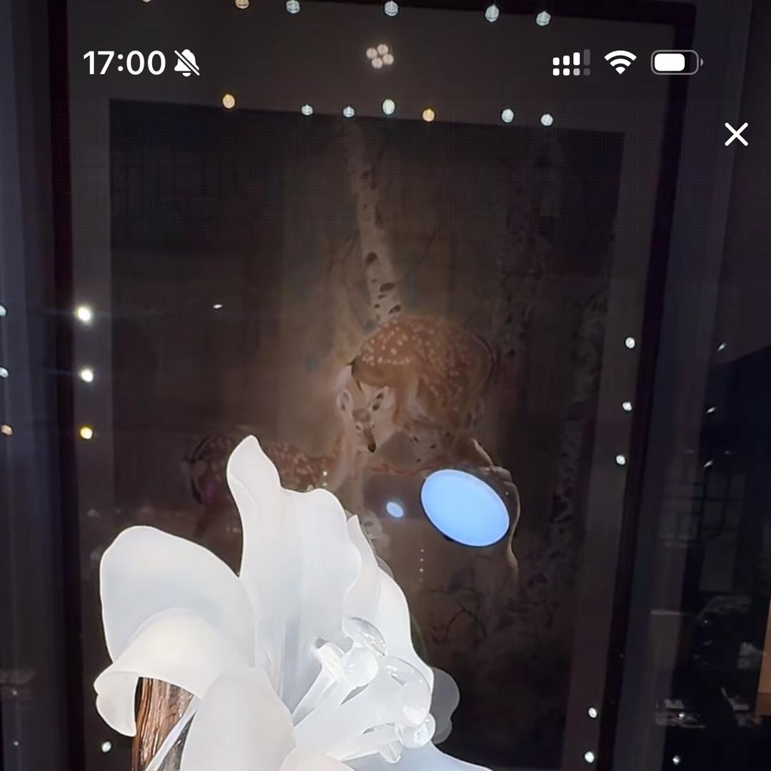 村优晶品