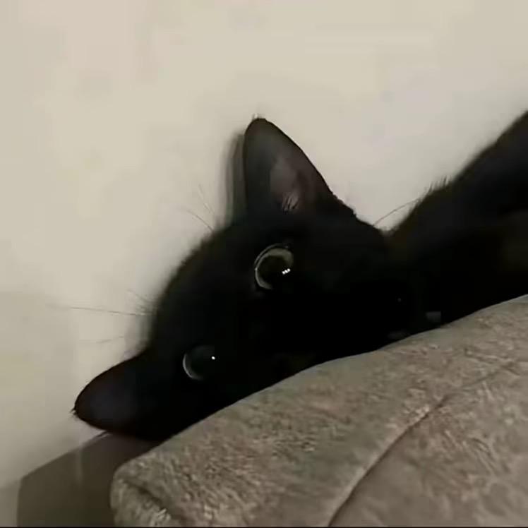 涵