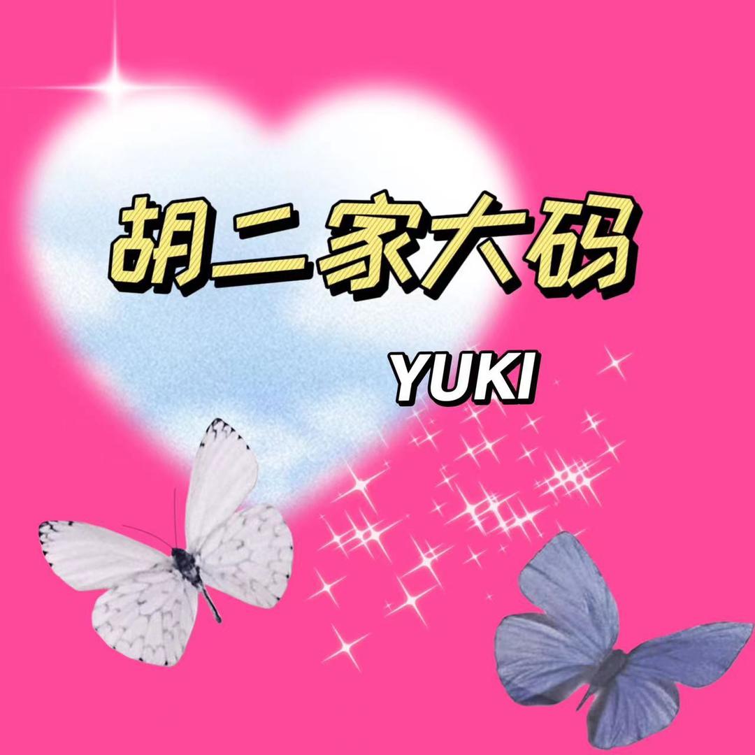 胡二家大码