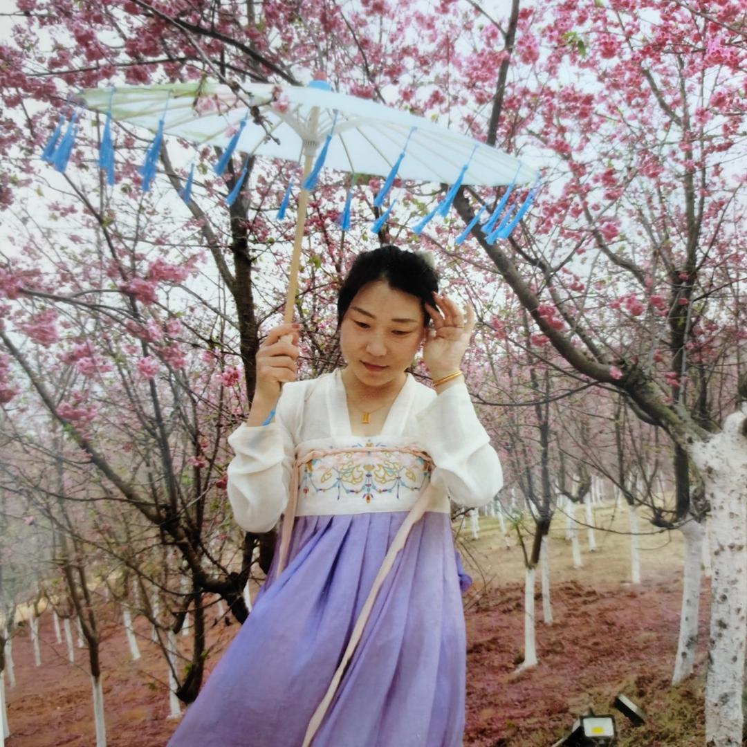 梅桂