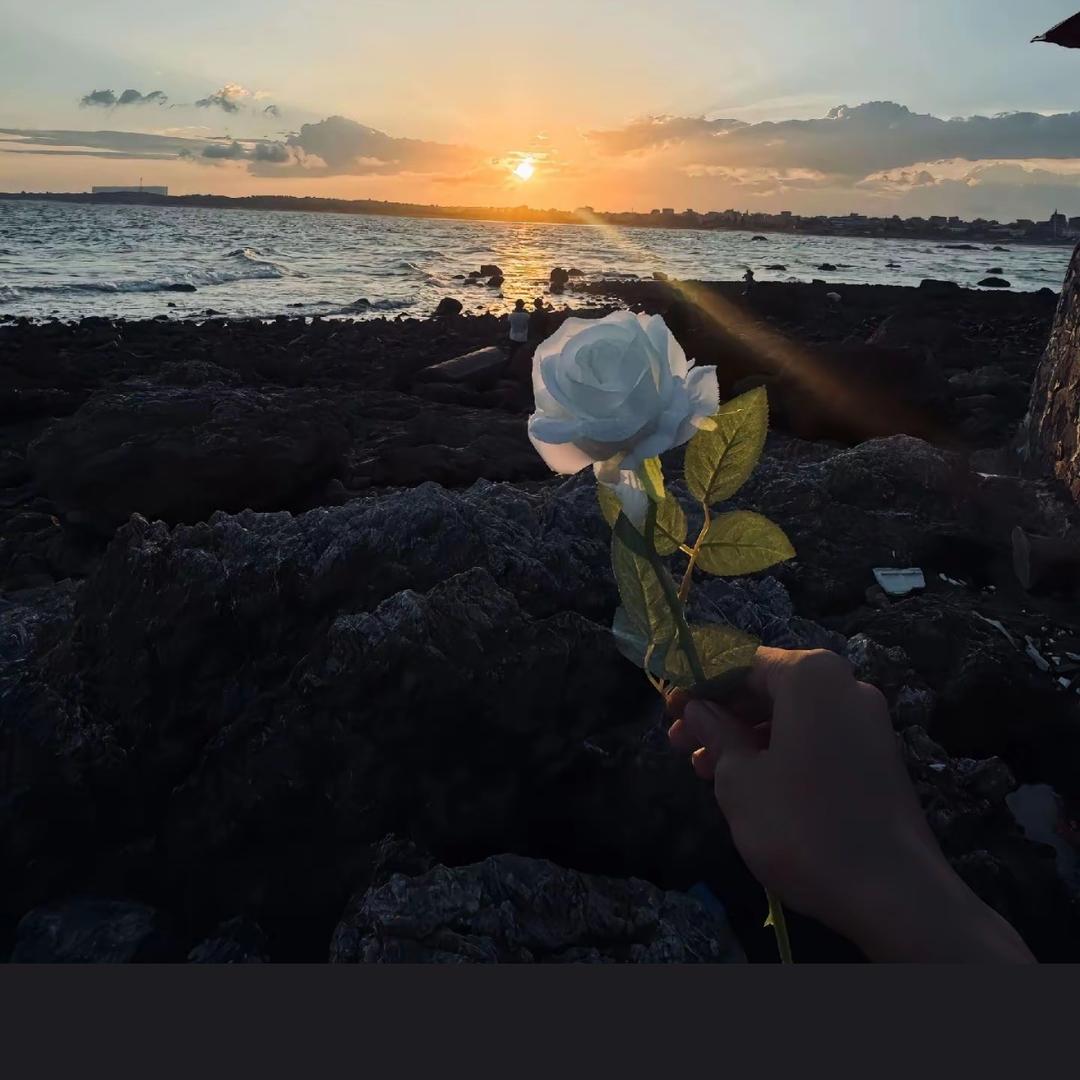 南风知我意ヽ