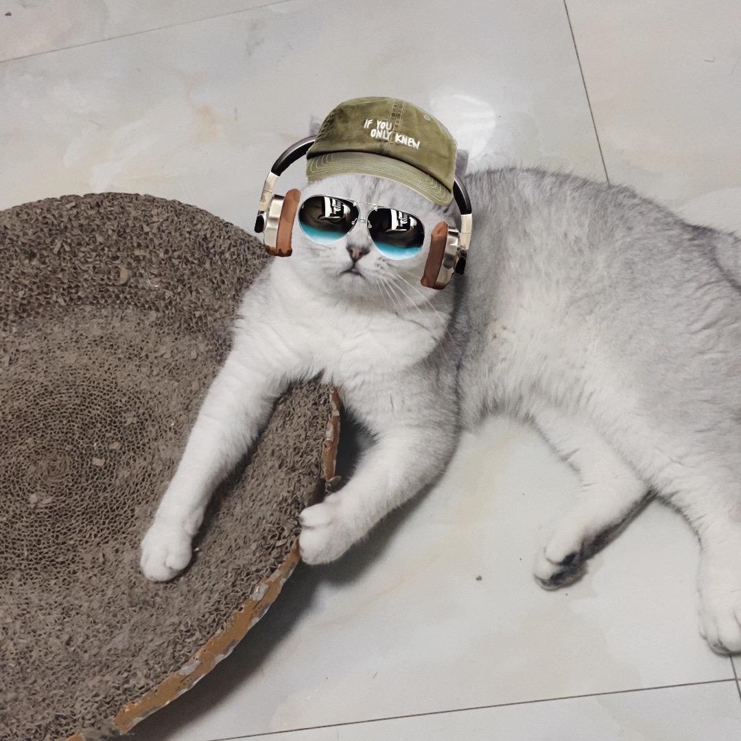 鸡腿和蛋黄的生活