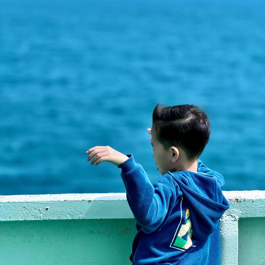 塞北读不懂江南