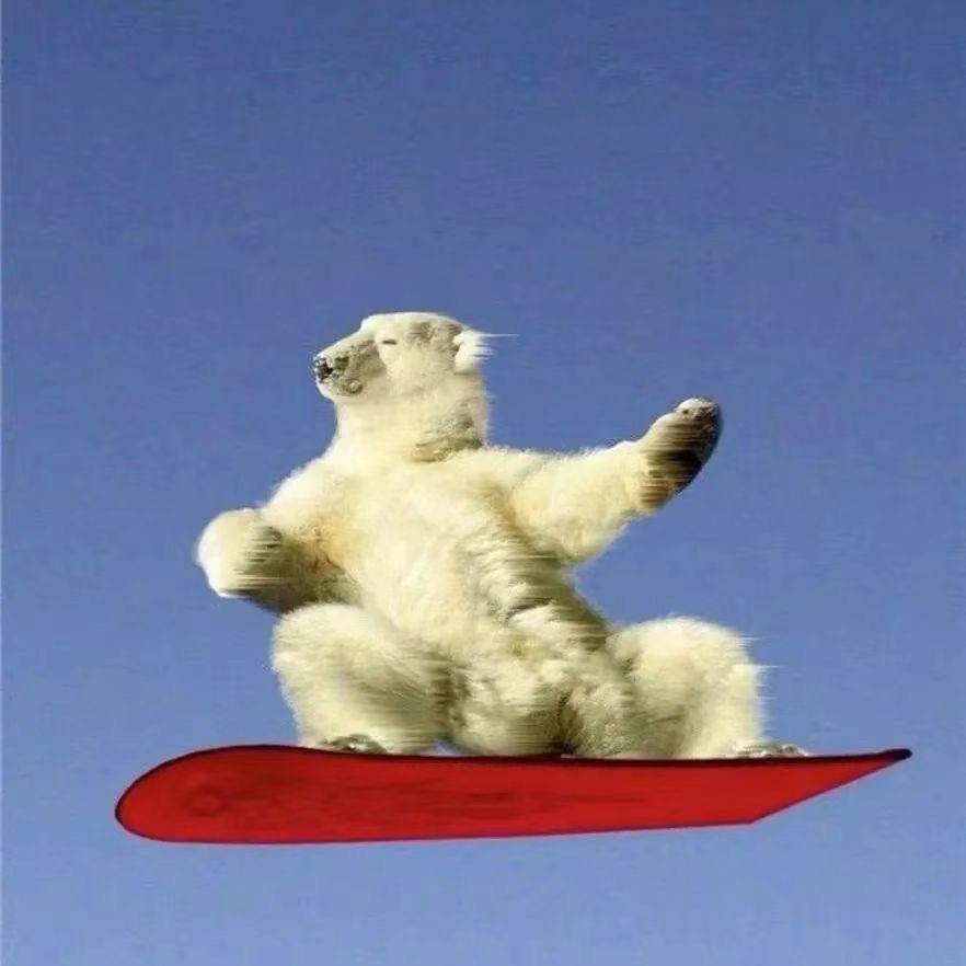 悲惨一人🙇‍♂️