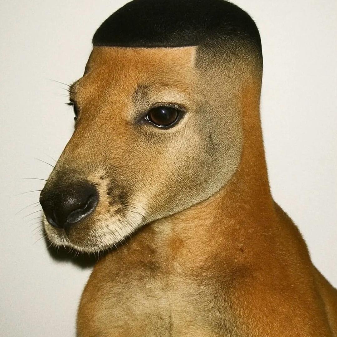 Jim