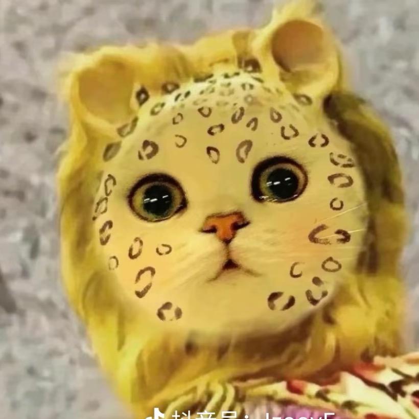 大童子和小妍妍
