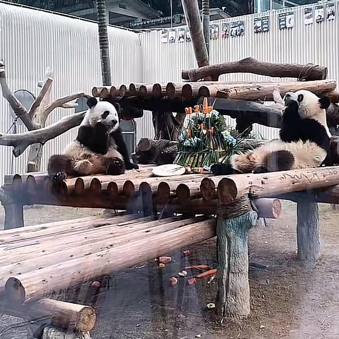 樱桃