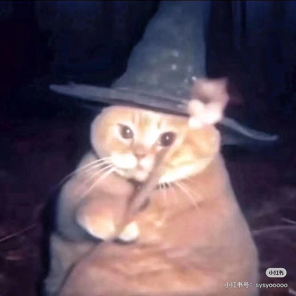 猫me小剧场