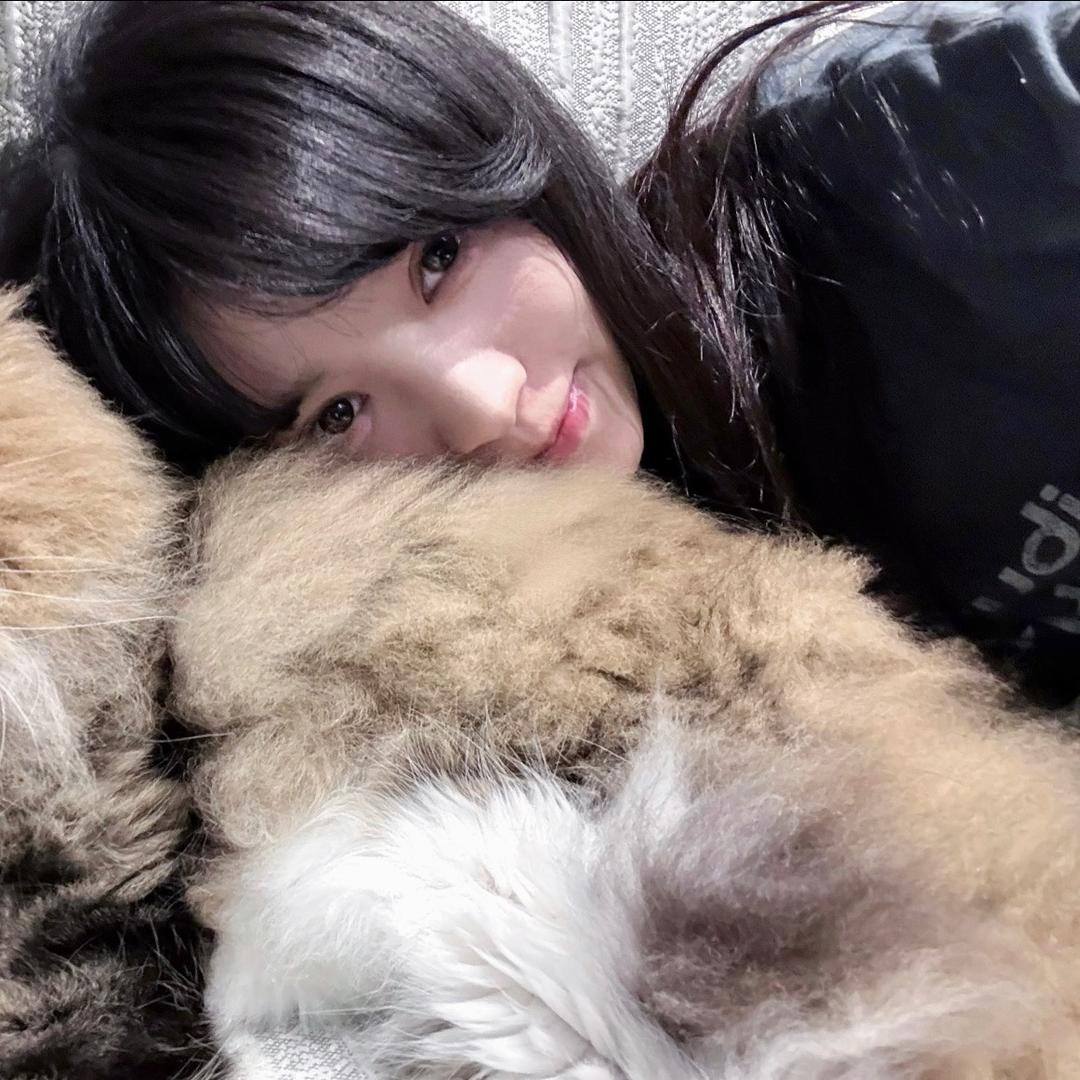 烧仙草^
