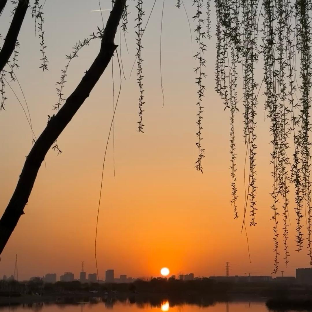 25℃考公小太阳