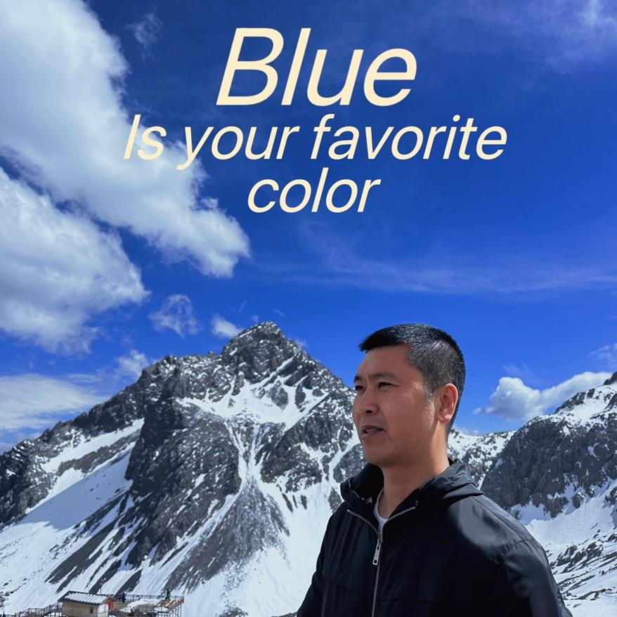 桔子森林