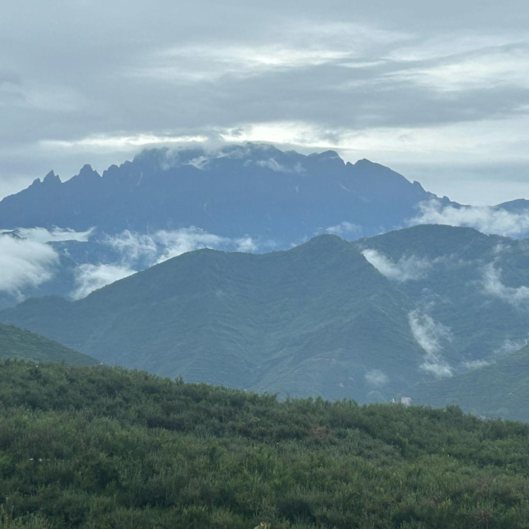 爱在天崖孝行天下