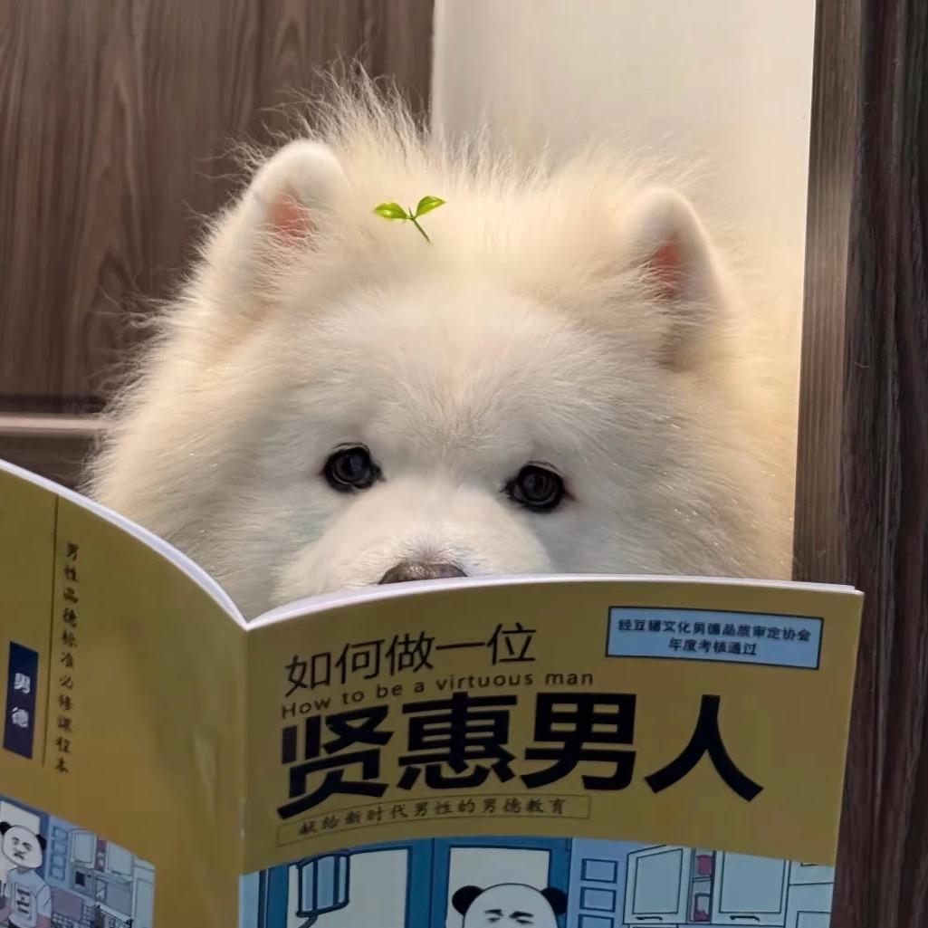 博子