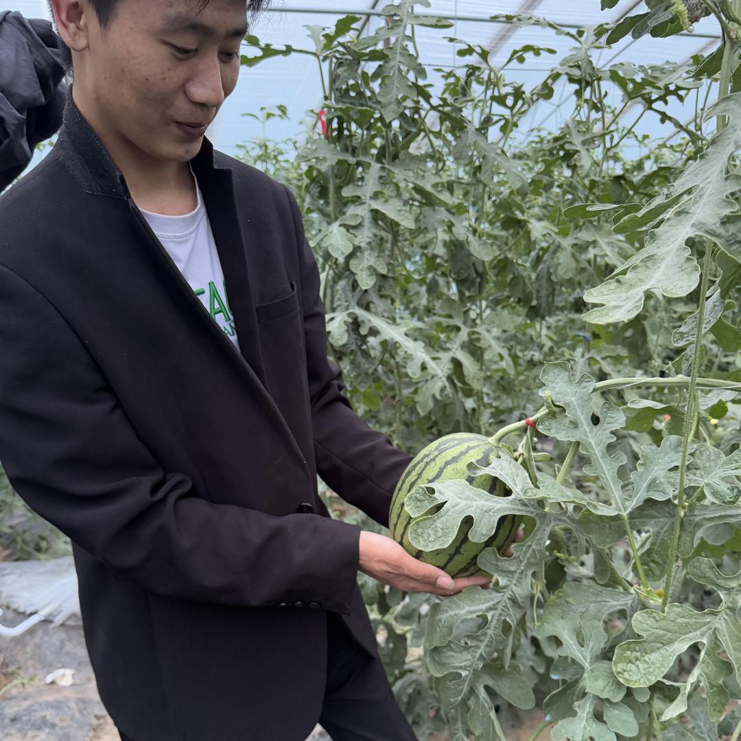 富利果蔬批发