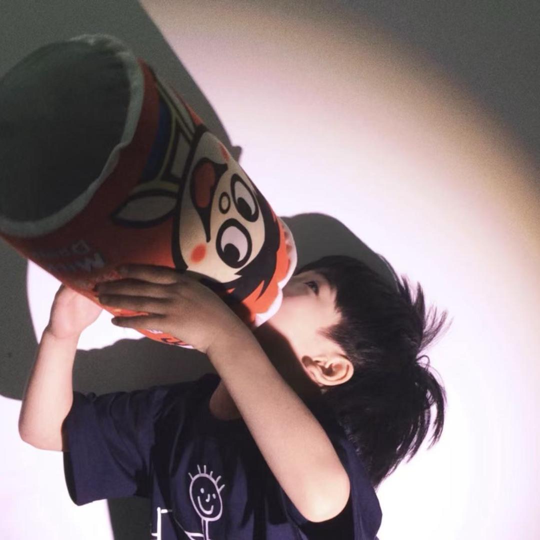 🚚货运小谭“（陆地小飞机）