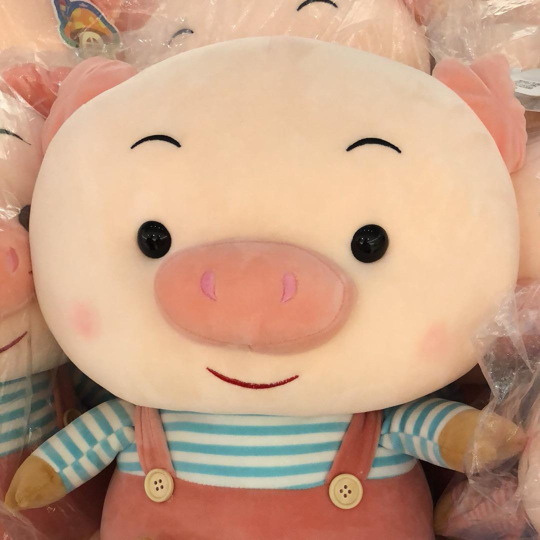 臭宝只为一人✨🐱